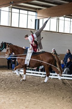 Bild 529 - Voltigierturnier